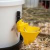 Suinga Abbeveratoio automatico per galline e perdici | Confezione da