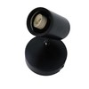 Lexi Lighting Brianna Spot Light, Flush-Mount Round Ceiling Light, 1