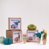 Needle Felting Cactus Kit -Desert Rose