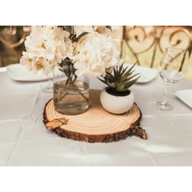 Set of (14) 10-11" Natural Wood Slices! Rustic Party Decorations, Rustic Wedding Decor, Wood Cookies (14)