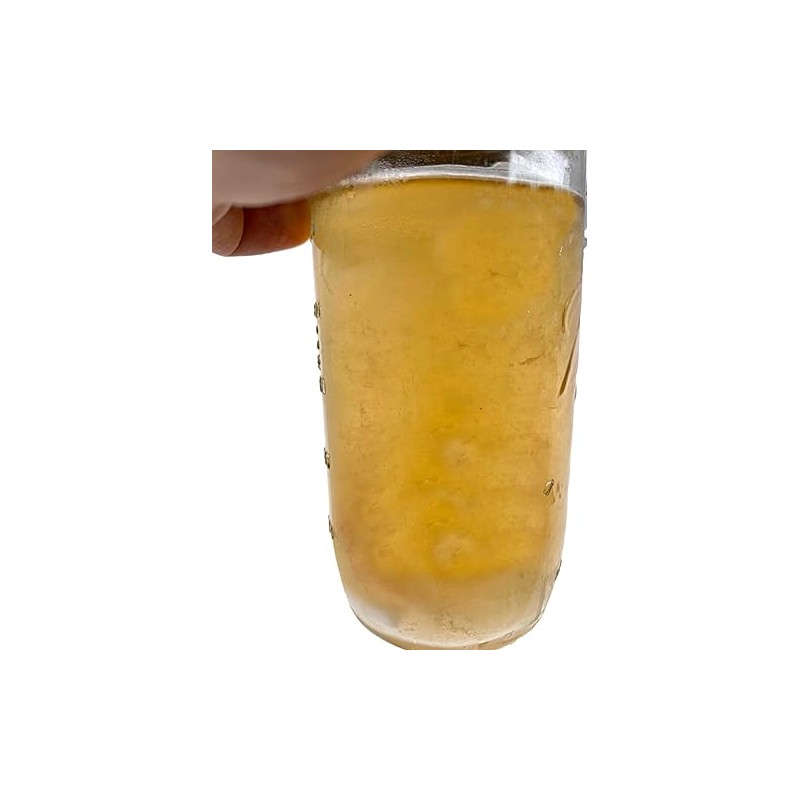 Premium Liquid Culture Kit Easy Spore Germinating & Mushroom Cloning