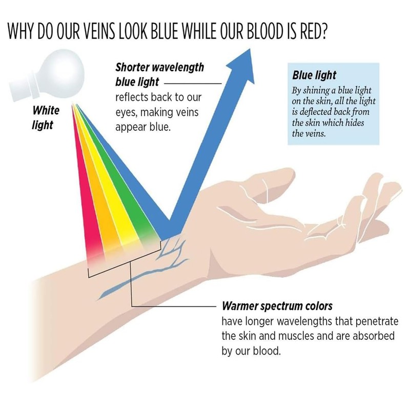BEAM Lighting Plastics Your Diffuser Source 5-Pack T-8 48" Fluorescent