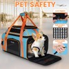 Petskd Top and Side Expandable Pet Carrier 19x13x9 Inches Southwest