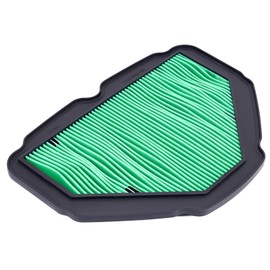 Road Passion 17210-MKC-A00 Air Filter Replacement for Honda Goldwing 1800 GL1800 Tour 2018-2023/ Goldwing 1800 GL1800B 2018-2021/ Goldwing 1800 GL1800BD Automatic DCT 2018-2023