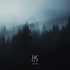 Silent Woods (2lp) [VINYL]