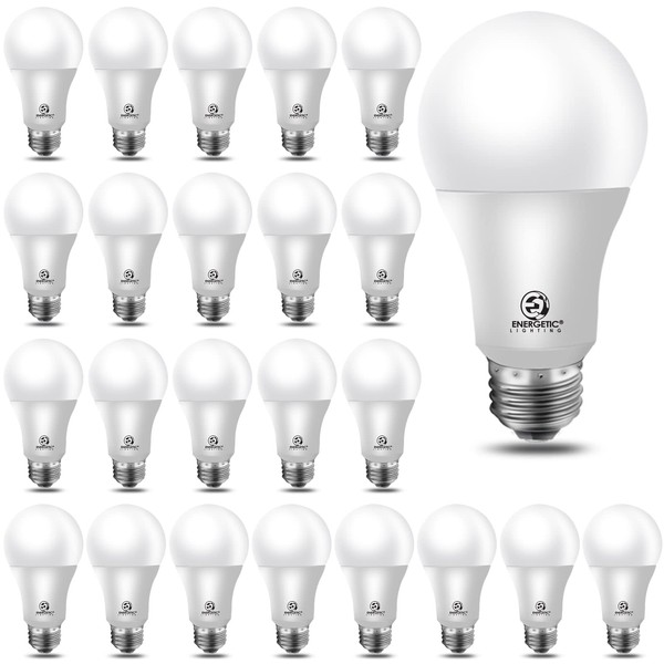 Energetic Lighting Energetic 24-Pack A19 LED Light Bulb, 60 Watt