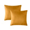 Oxford Homeware Velvet Cushion Covers Pack of 2 Decorative Covers