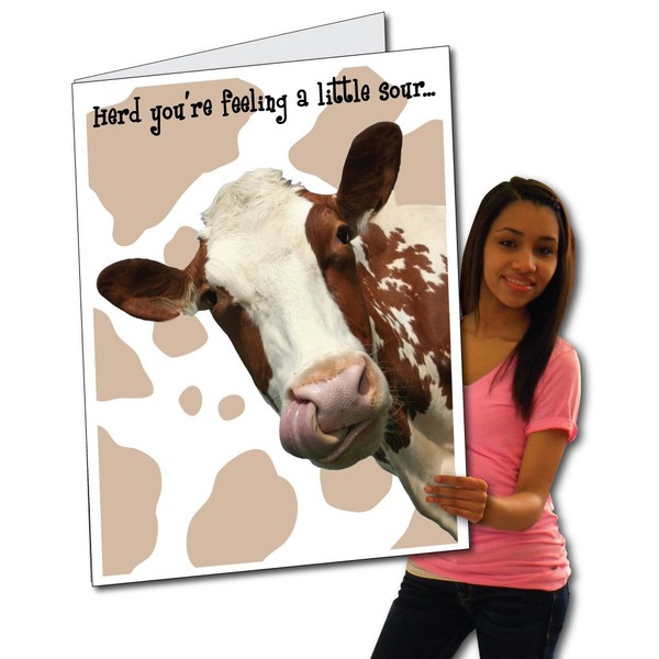 VictoryStore Jumbo Greeting Cards: Giant Get Well Card (Cow), 2 feet x 3 feet Card with Envelope