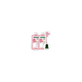 클로란 [민감두피&두피진정] 피오니 샴푸 400ml 2개 + 문어 괄사 증정 [Sensitive Scalp & Scalp Soothing] Peony Shampoo 400ml 2pcs + Free Octopus Gua Sha