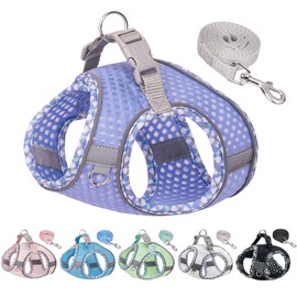 JOYPAWS Summer Dog Harness and Leash Set, Soft Dog Vest Harness with Super Breathable Diamond Mesh, Reflective No-Pull Pet Harness for Outdoor Walking, Training for Small Dogs, Cats Lavender XXS