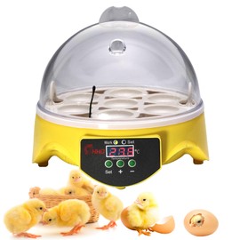 JDMSHCA 360° View 7-Egg Poultry Incubator for Hatching Chicken, Duck, Goose, Parrot, and Quail Eggs, with Temperature Control, yellow, ZM003