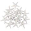 CODIRATO Pack of 15 Large Decorative Starfish Aquarium Starfish Resin