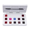 Van Gogh Watercolor Paint Set, Plastic Pocketbox, 12-Half Pan Pinks