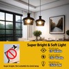 ILC G120 LED Large Globe Light Bulbs 15W, Compatible with