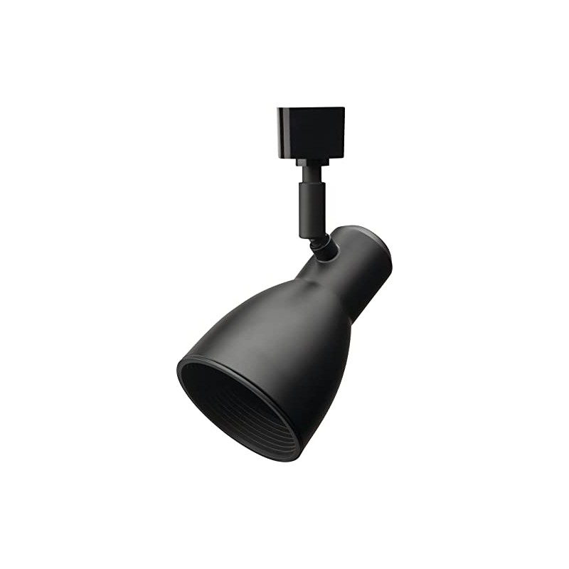 Lithonia Lighting LTHNSTBF BR20 DBL M2 Baffle Head Track Lighting,