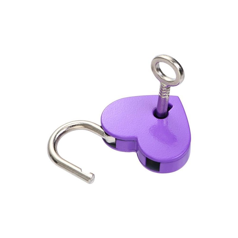 Leadigol Diary Lock and Key Set,Small Metal Heart Shaped Padlock