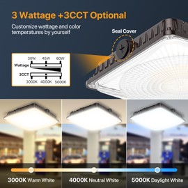 DEMILARE 100W LED Canopy Lights Selectable Wattage 100/80/60W 3CCT 3000/4000/5000K, IP65 ETL Listed Commercial Canopy Lights for Gas Station Warehouse Garage Shop