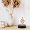 SELVA Glass Dome with Hook, for Dust-Free Storage of Pocket