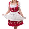 Dirndl Trachten Haus Red Short Bavarian Dirndl Dress Set For