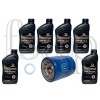Honda Genuine Honda Synthetic Blend oil change kit for 2010