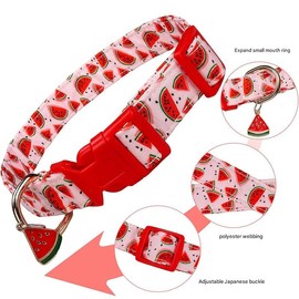 Dog Collars with Buckle Adjustable for Cute Female Boy Dogs,Special Soft and Fancy Dog Pet Collar with Flower Design for Small Medium Large Dogs (Red, M Width 2.0 Adjustable 31-50cm)