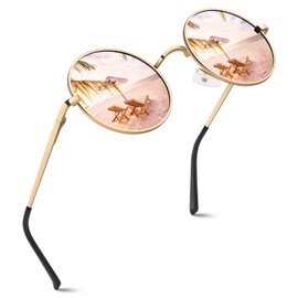 GQUEEN Retro Round Circle Polarised Sunglasses Mens Womens UV400 Protection,MEZ1