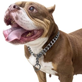 Adjustable Strong Lobster Clasps Dog Titan Collar Training Walking Metal Dog Duty Chew Proof for Medium Large Dogs American Pitbull German Shepherd