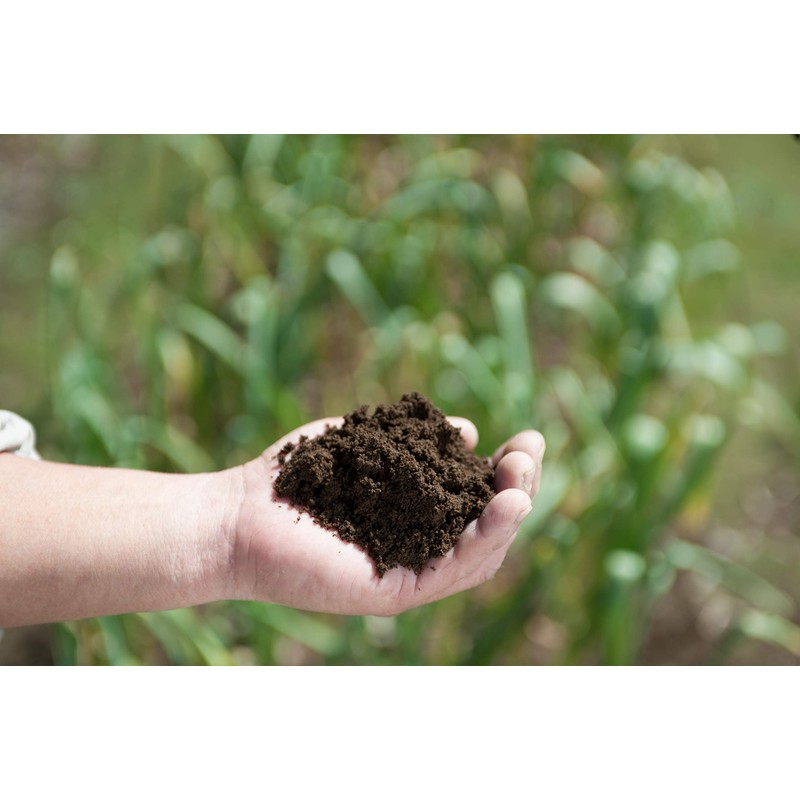 健康クラブ 烏骨鶏のニンニク卵黄 腸溶 62粒