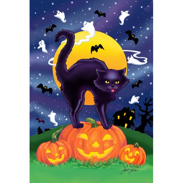 Toland Home Garden Black Cat 12.5 x 18 Inch Decorative Halloween Kitty Pumpkin Garden Flag