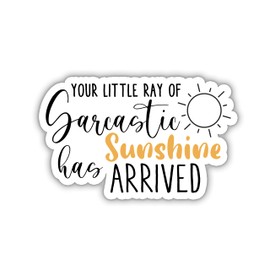 (3Pcs) Your Little Ray of Sarcastic Sunshine Has Arrived Sticker, Motivational Sticker, Water Assitant Die-Cut Vinyl Stickers Decals for Laptop, Phone, Water Bottles, Stickers for Women (2 Inches)