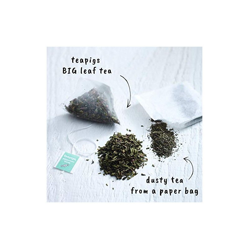 Teapigs Peppermint Leaves Tea Bags Made with Whole Leaves ,