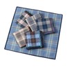 HOULIFE 100% Cotton Men's Stripe Soft Checkered Pattern Handkerchiefs Assorted