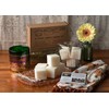 Himalayan Trading Post Medium Refill Kit Grapefruit Pine