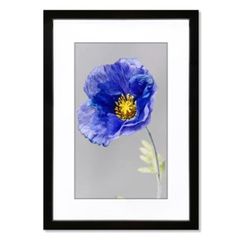 VNVNK 20x28 Frame Black, Perfect for 20x28 Inch Picture without Mat or 16x24 Inch Picture with Mat, Home Wall Decor Picture Frame-1 PCS