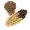 Vegetable Brush and Mushroom Brushes Fruit Vegetable Cleaning Brush Set