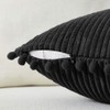 Fancy Homi Pack of 2 Black Decorative Throw Pillow Covers