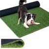 Homietina Artificial Grass Rug 0.8 Inch Pile Height 2FTX36FT Indoor
