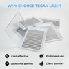 TEGAN LASH 320 Premade Fans Volume Eyelash Extensions, Handmade Lash