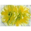 Georgia O'keefe Flowers Print Framed Yellow Cactus Flower