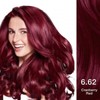 Garnier Hair Color Natural Ultra Color Sachet