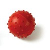 Classic Rubber Pimple Ball With Bell 4.5Cm