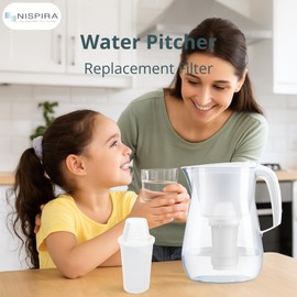 Nispira Water Filter Replacement Compatible with Nakii Aquaphor Water Pitcher Dispenser Removes Chlorine, Lead, Odor, Color Reduce Water Hardness, 2 Packs