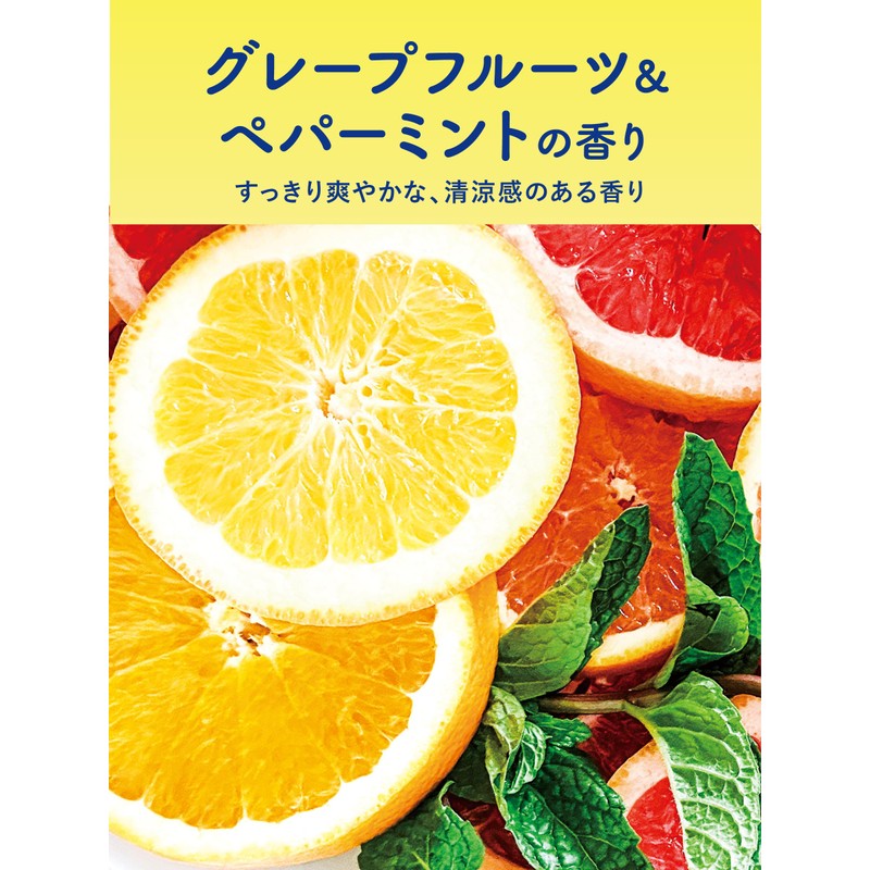 Diane Grapefruit & Peppermint Scent Shampoo, Large Capacity, Perfect Beauty,