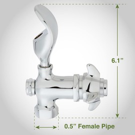 Homewerks Worldwide 3310-150-CH-B-Z 1/2" FPT Water Bubbler
