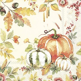 IHR Servilletas de papel para almuerzo de 3 capas, 16,5 x 16,5 cm, crema de amor de calabaza