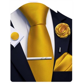 Ailisus Dark Gold Ties for Men Silk Satin Necktie and Pocket Square Cufflinks Tie Clip Lapel Pin Set Wedding Business 5PCS