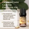 Ecodrop Frankincense Essential Oil I 5ml I Genuine Carterii from