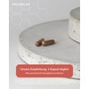 MoleQlar Lipolyzer Pack of 60 - Red Rice Complex with
