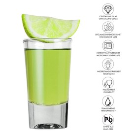 Alcohol Cage QUICK SHOT Glas Set - Kleine Shotgläser 28ml - mit Schwerem Boden - Spülmaschinenfest - Wodkaglas Shotgläser Witziges Set von 6