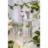 Provence Sante Eau de Toilette Spray - Luxury Long-Lasting Fragrance